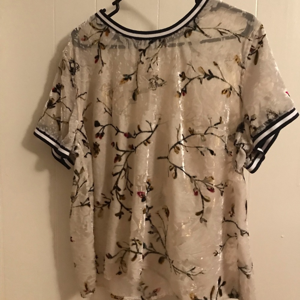 Sheer Velvet Floral Blouse